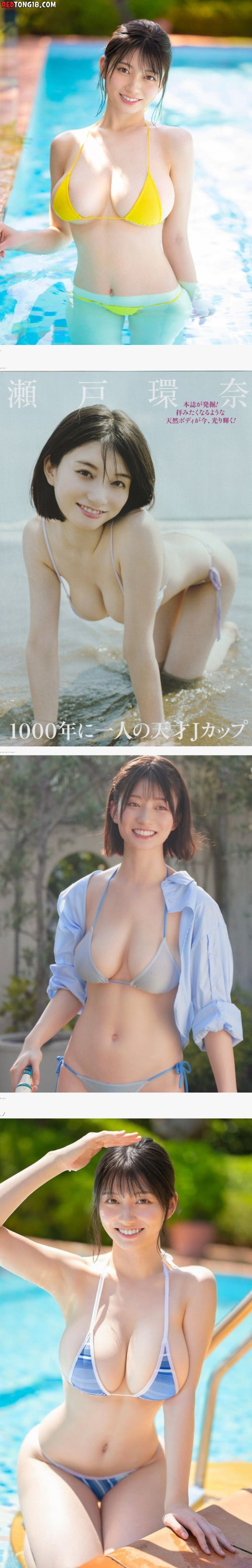 그쪽업계 신입